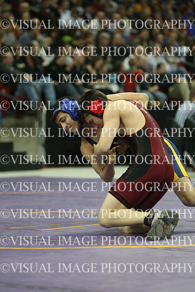 wiwr10_135_s2028