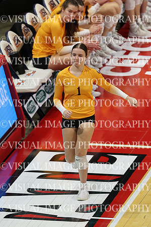 ILVBG_24_S120020