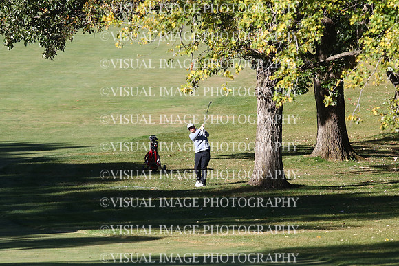 ILGF_24_T204014