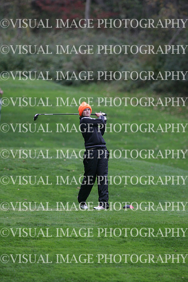 wigfg_09_t110010