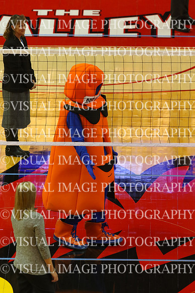 ILVBG_16_S110011