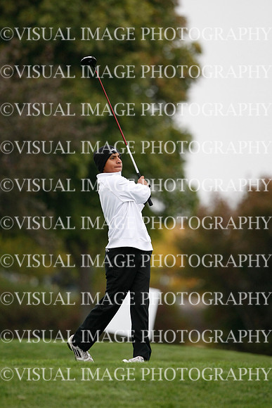 ILGF_13_T306028