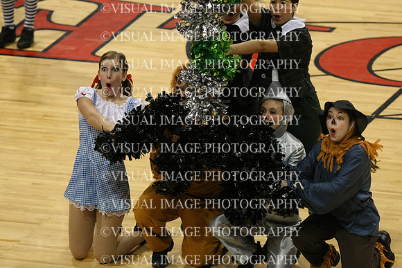 TDIHS12_POM_14040