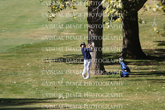 ILGF_24_T203022