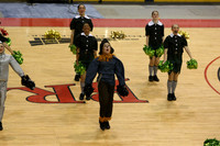 TDIHS12_POM_14018