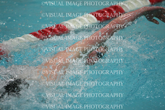 wisw10_2free_1024