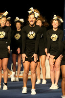 ILCHEER_11_M18016