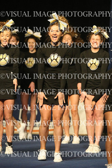 ILCHEER_11_M18016