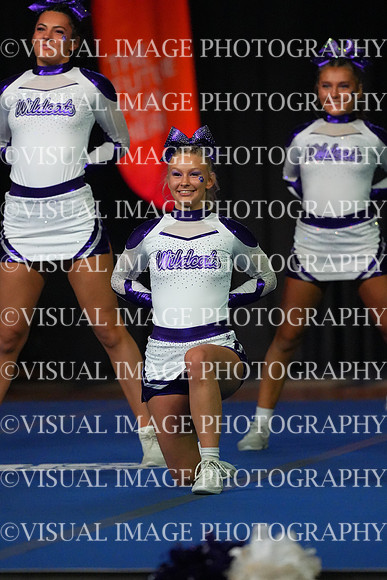 ILCHEER_25_S250017