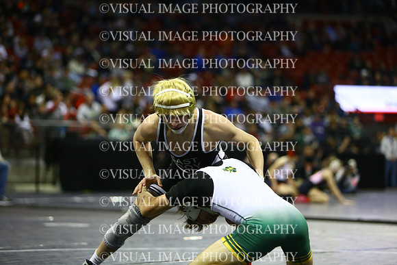 WIIWR25_126_C2014