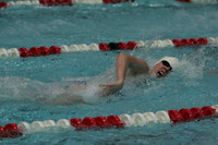 wiswg09_2frelay_2014