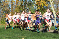 ILXC_14_30020