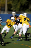 WSJFB_13_1018