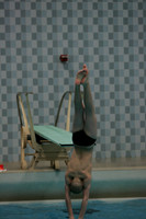 wisw10_dive_2002