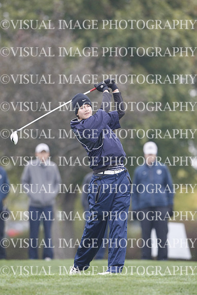 ILGF_13_T311015