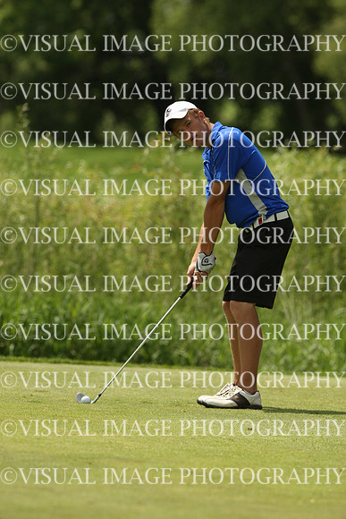 wigf_10_t109033