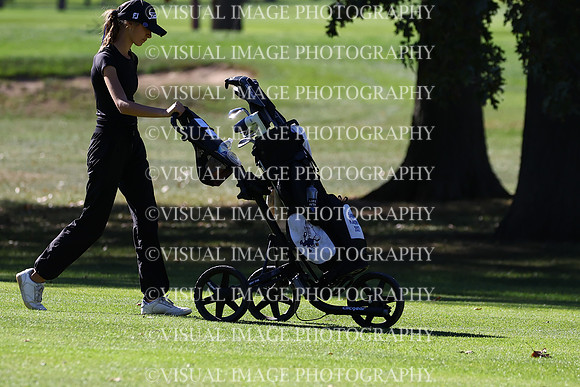 ILGFG_24_206033