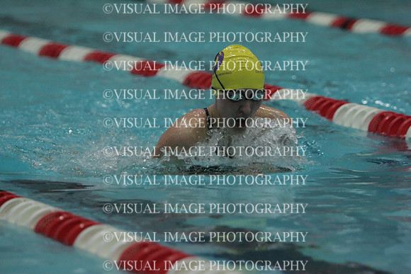 wiswg09_1breast_2033