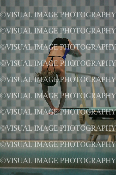 wiswg09_dive_1024