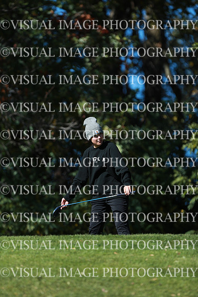 WIGFG_24_F20011