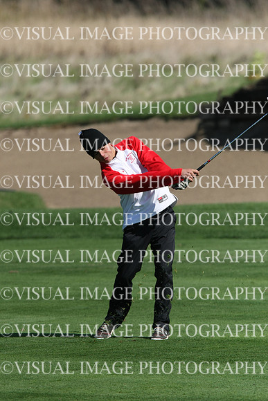 ILGF_13_T109070