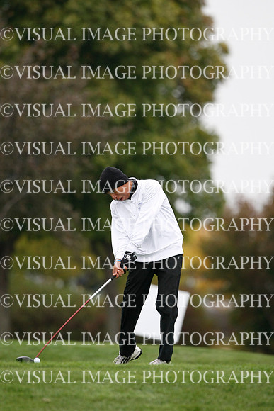 ILGF_13_T306017