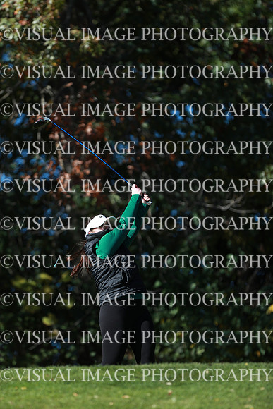 WIGFG_24_F20040
