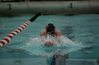 wisw09_1breast_2002
