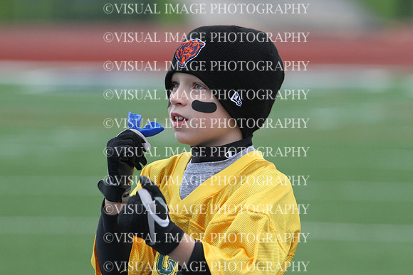 VHFB13_23F_2006