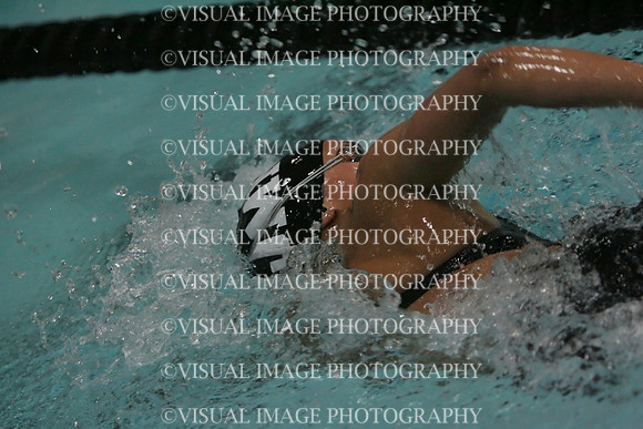 wiswg09_1free_1028