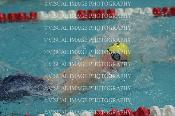 wiswg09_1free_1032