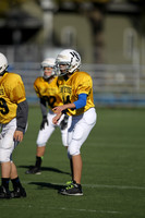 WSJFB_13_1017