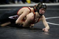 wiwr10_103_c2012