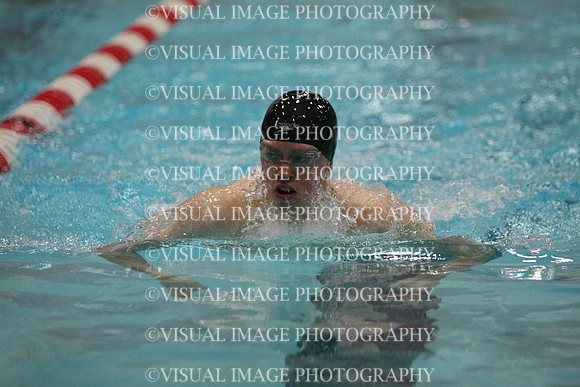 wisw10_1breast_2042