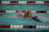 wisw09_2free_1010