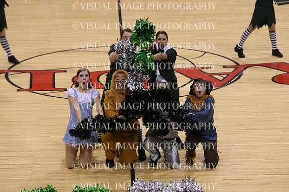 TDIHS12_POM_14029