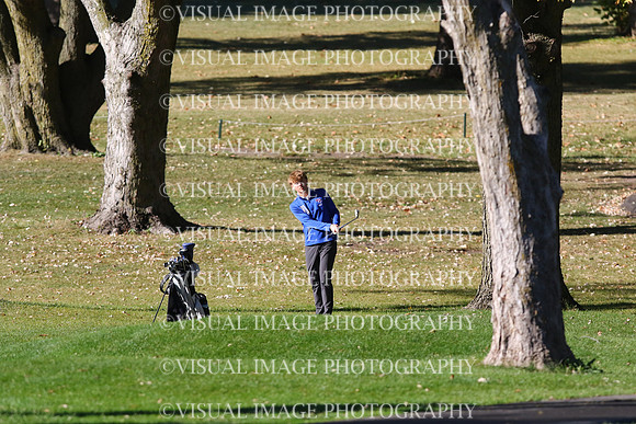 ILGF_24_T208007