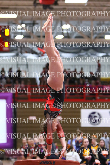 WIGYMG25_VAULT_T024