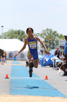 TRIPLE JUMP