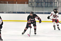 JV