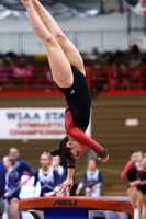 WIGYMG25_VAULT_T009