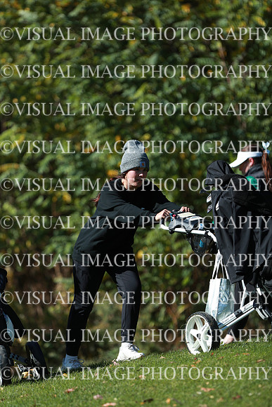 WIGFG_24_F20043