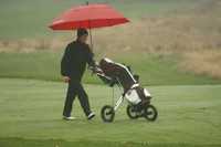 WIGFG_13_T202008