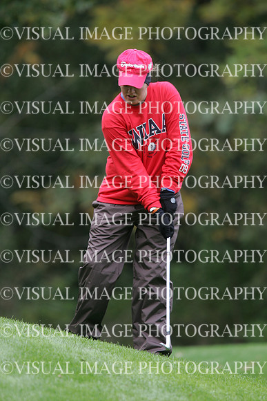wigfg_09_t102047