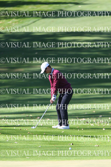 ILGF_24_T201030