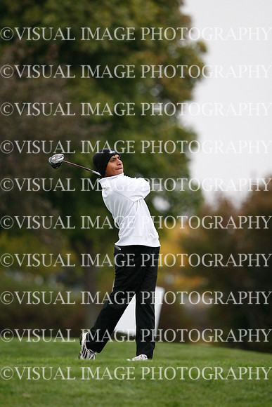 ILGF_13_T306026