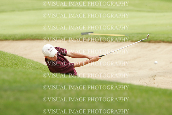 wigf_09_t108033