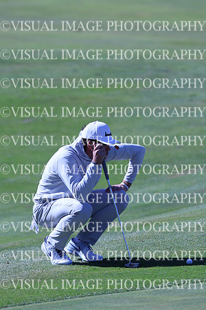 ILGF_24_T3120044