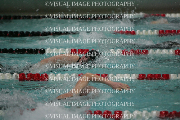 wisw09_2free_1006