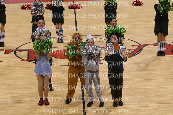 TDIHS12_POM_14036